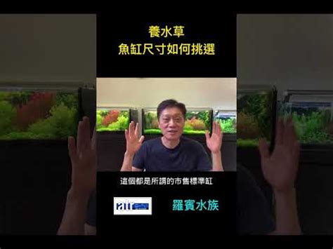 一呎半缸尺寸|魚缸尺寸參照表及選購方法精選